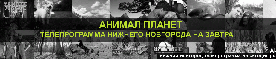 Телепрограмма на завтра канала Анимал Планет, Нижний Новгород