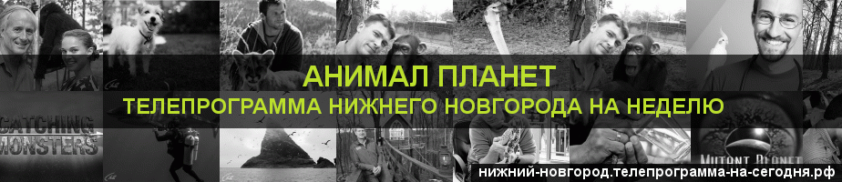 Телепрограмма на неделю канала Анимал Планет, Нижний Новгород